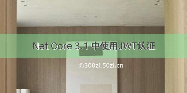 Net Core 3.1 中使用JWT认证