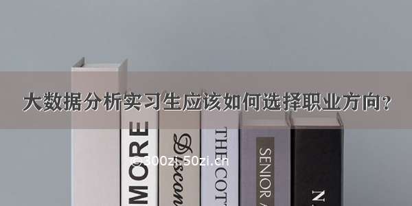 大数据分析实习生应该如何选择职业方向？