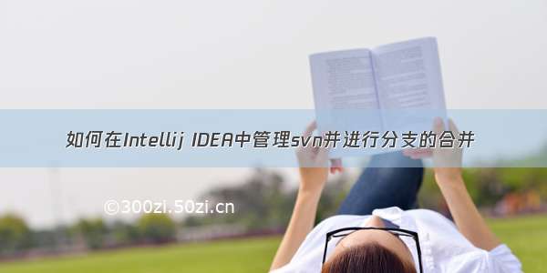 如何在Intellij IDEA中管理svn并进行分支的合并