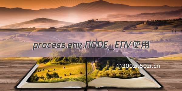 process.env.NODE_ENV使用