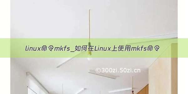 linux命令mkfs_如何在Linux上使用mkfs命令