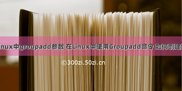 linux中groupadd参数 在Linux中使用Groupadd命令 如何创建组