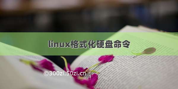 linux格式化硬盘命令