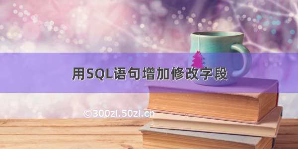 用SQL语句增加修改字段