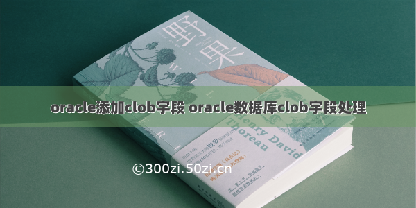 oracle添加clob字段 oracle数据库clob字段处理