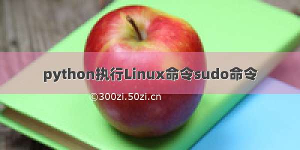 python执行Linux命令sudo命令