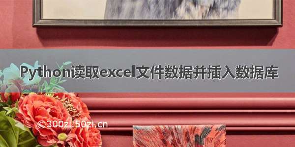 Python读取excel文件数据并插入数据库