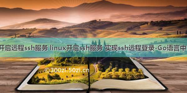linux开启远程ssh服务 linux开启ssh服务 实现ssh远程登录-Go语言中文社区