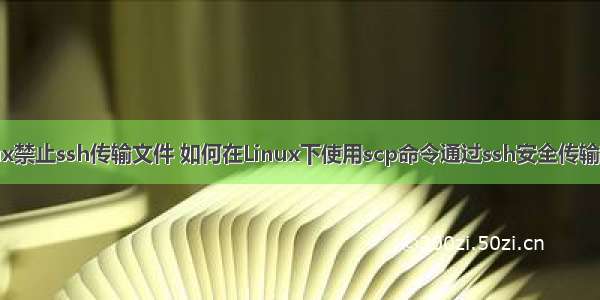 linux禁止ssh传输文件 如何在Linux下使用scp命令通过ssh安全传输文件