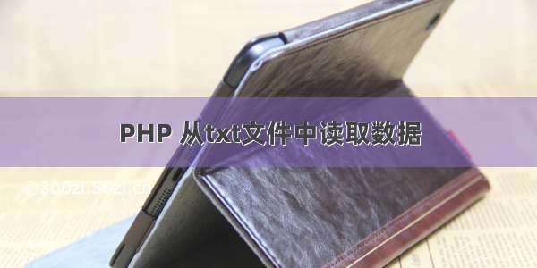 PHP 从txt文件中读取数据