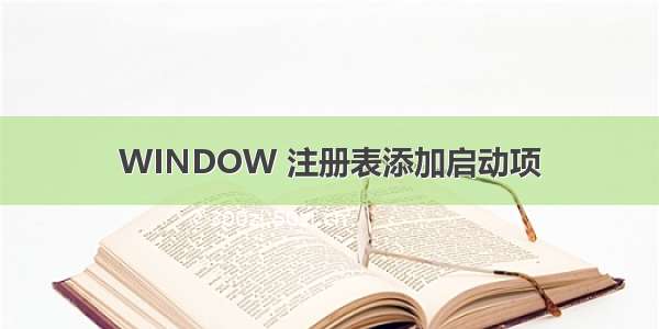 WINDOW 注册表添加启动项