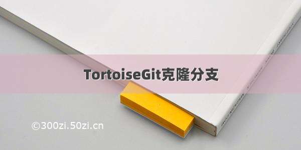 TortoiseGit克隆分支