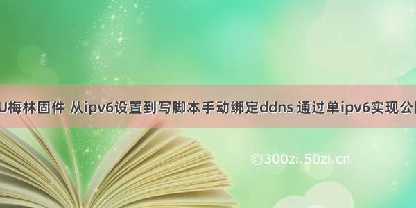 AC68U梅林固件 从ipv6设置到写脚本手动绑定ddns 通过单ipv6实现公网访问