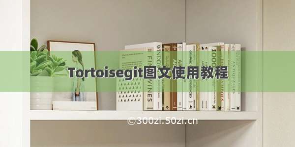 Tortoisegit图文使用教程