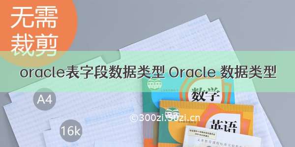 oracle表字段数据类型 Oracle 数据类型