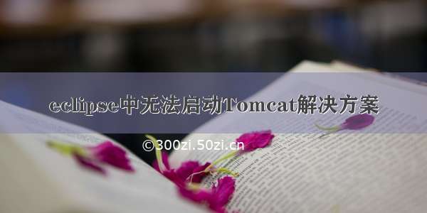 eclipse中无法启动Tomcat解决方案