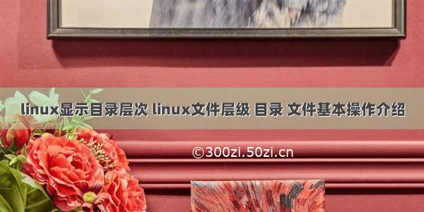 linux显示目录层次 linux文件层级 目录 文件基本操作介绍