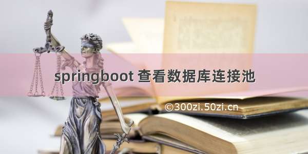 springboot 查看数据库连接池