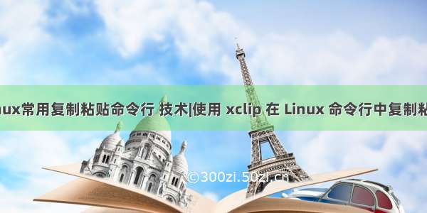 linux常用复制粘贴命令行 技术|使用 xclip 在 Linux 命令行中复制粘贴