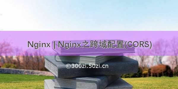 Nginx | Nginx之跨域配置(CORS)