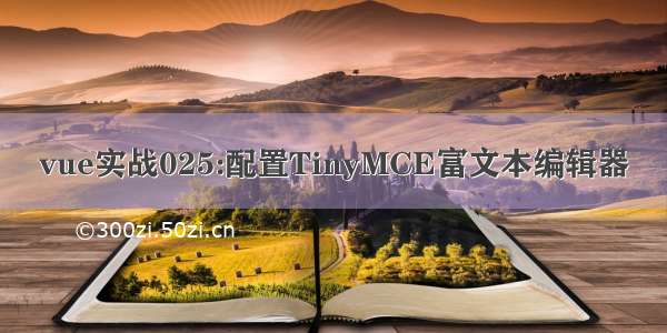 vue实战025:配置TinyMCE富文本编辑器