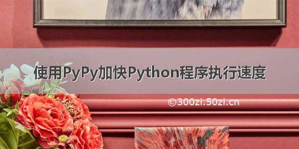 使用PyPy加快Python程序执行速度