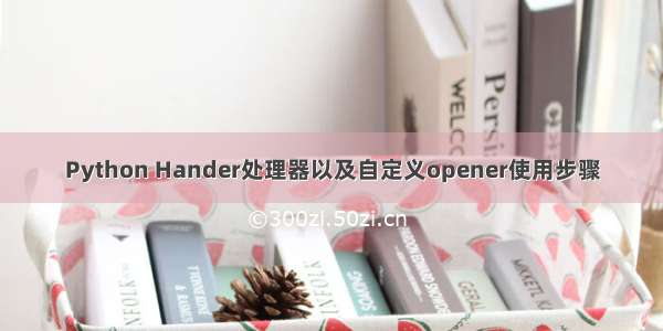 Python Hander处理器以及自定义opener使用步骤