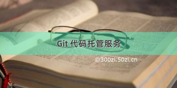 Git 代码托管服务