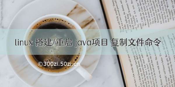 linux 搭建/重启 java项目 复制文件命令