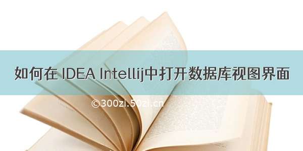 如何在 IDEA Intellij中打开数据库视图界面