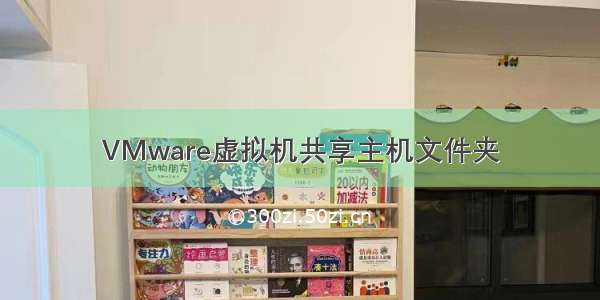 VMware虚拟机共享主机文件夹