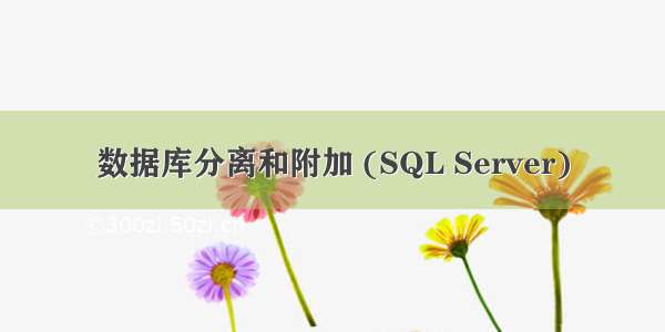 数据库分离和附加 (SQL Server)