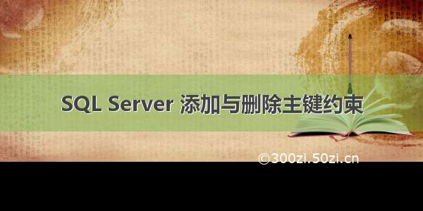 SQL Server 添加与删除主键约束