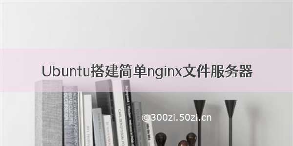 Ubuntu搭建简单nginx文件服务器