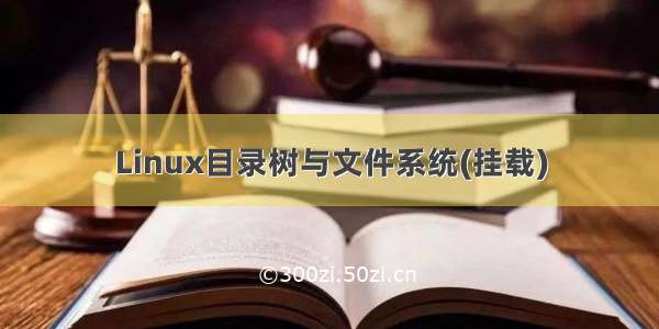 Linux目录树与文件系统(挂载)