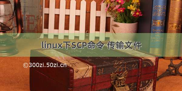 linux下SCP命令 传输文件