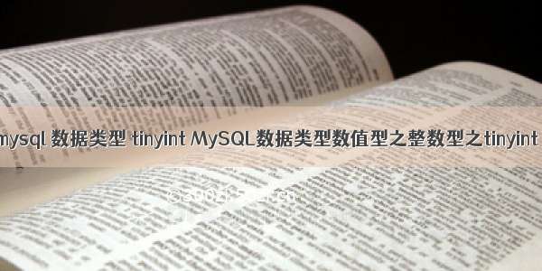 mysql 数据类型 tinyint MySQL数据类型数值型之整数型之tinyint