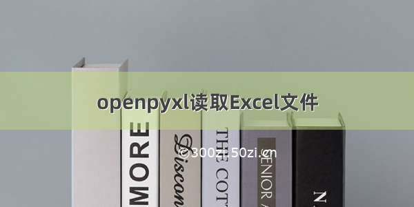 openpyxl读取Excel文件