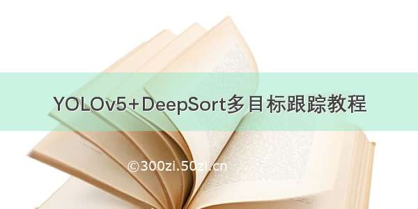 YOLOv5+DeepSort多目标跟踪教程