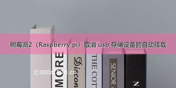 树莓派2（Raspberry pi）取消 usb 存储设备的自动挂载