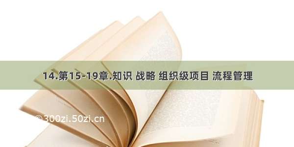 14.第15-19章.知识 战略 组织级项目 流程管理