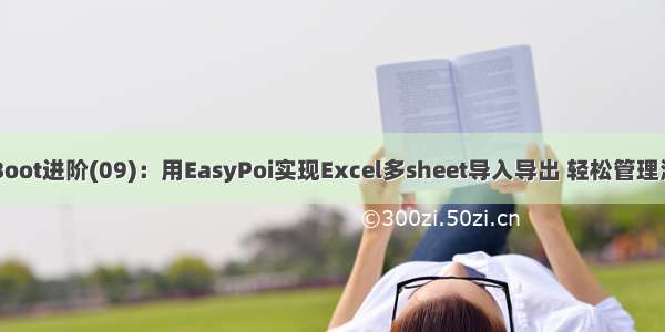 Spring Boot进阶(09)：用EasyPoi实现Excel多sheet导入导出 轻松管理海量数据！