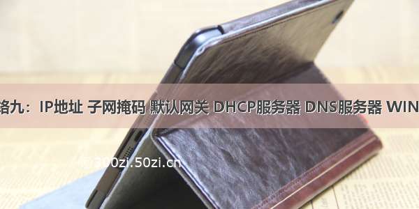 计算机网络九：IP地址 子网掩码 默认网关 DHCP服务器 DNS服务器 WINS服务器...