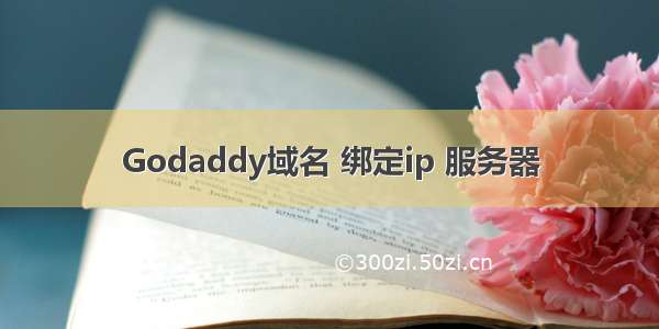 Godaddy域名 绑定ip 服务器