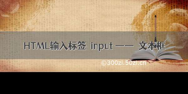 HTML输入标签  input ——  文本框