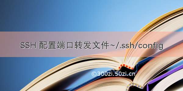 SSH 配置端口转发文件~/.ssh/config