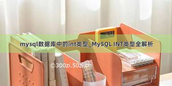 mysql数据库中的int类型_MySQL INT类型全解析