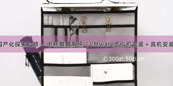 国产化探索之路---中标麒麟系统（VMware虚拟机安装 + 真机安装）