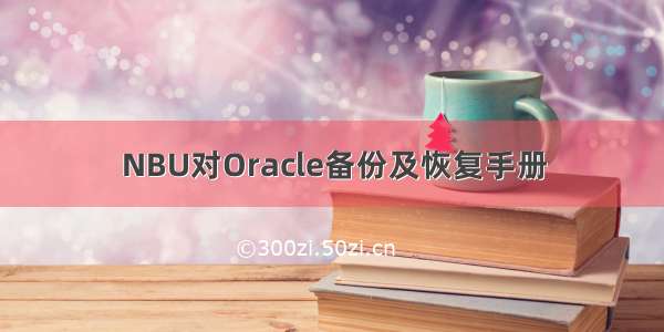 NBU对Oracle备份及恢复手册