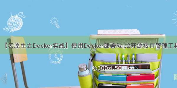 【云原生之Docker实战】使用Docker部署Rap2开源接口管理工具